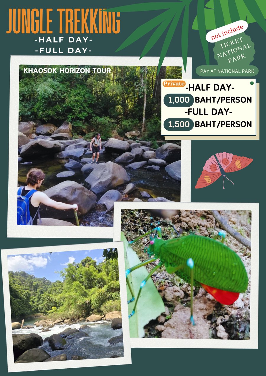 Jungle Trekking half day and full day