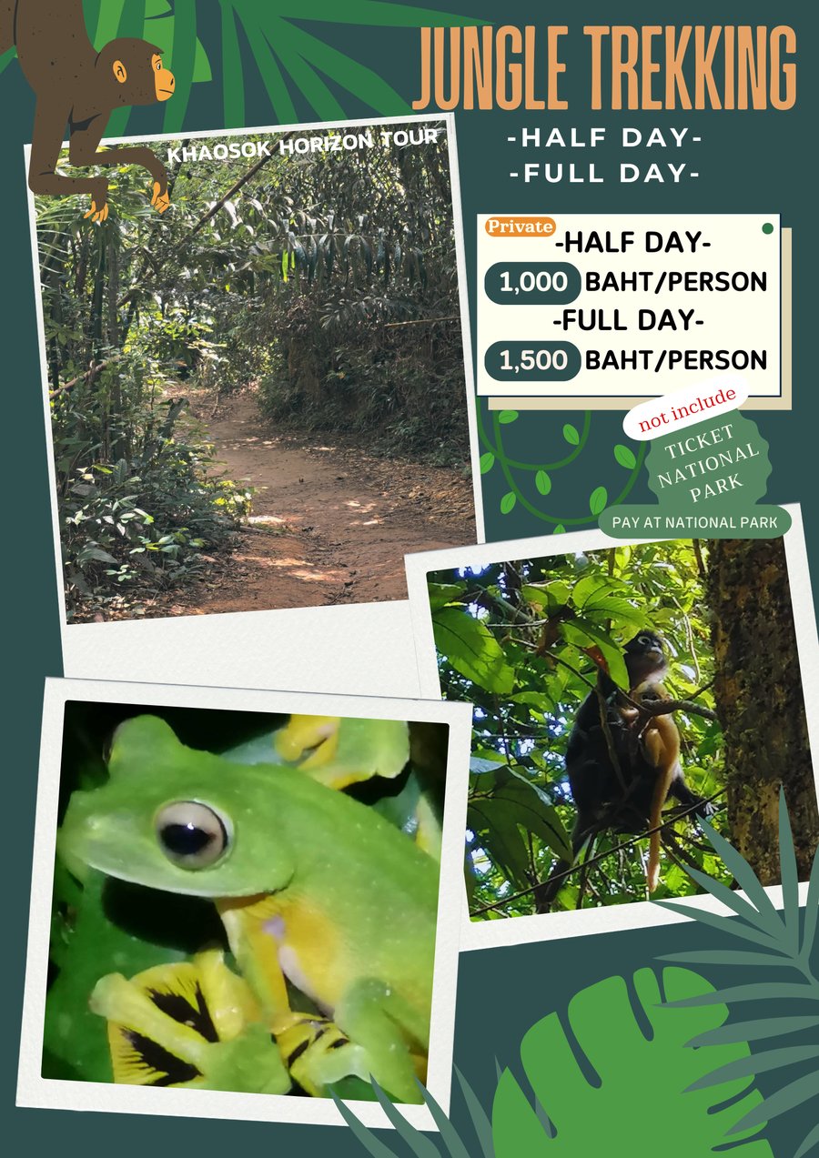 Jungle Trekking wildlife