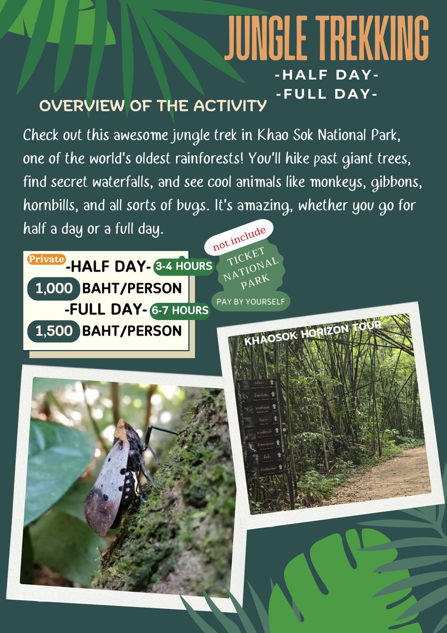 Jungle Trekking overview