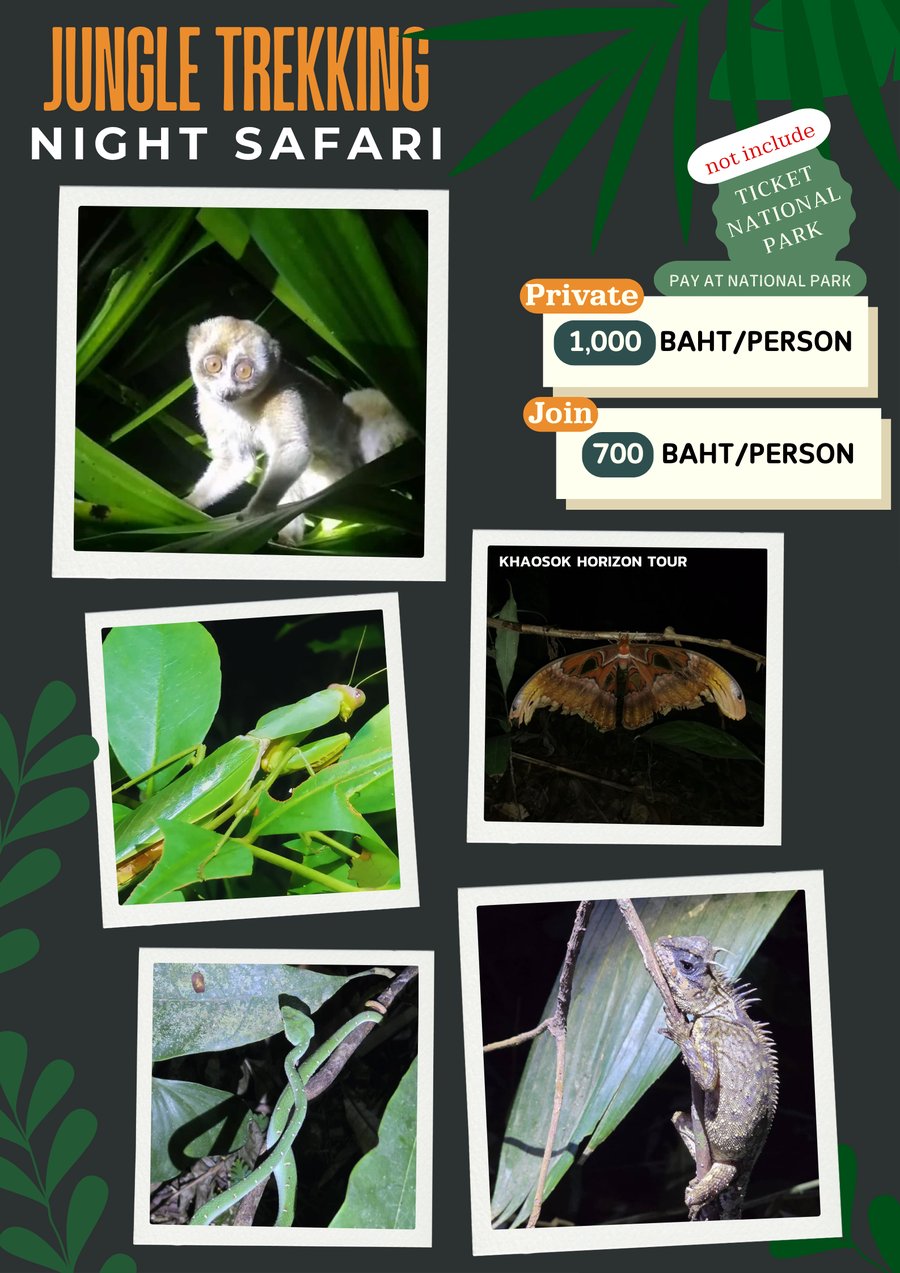 Night Safari wildlife
